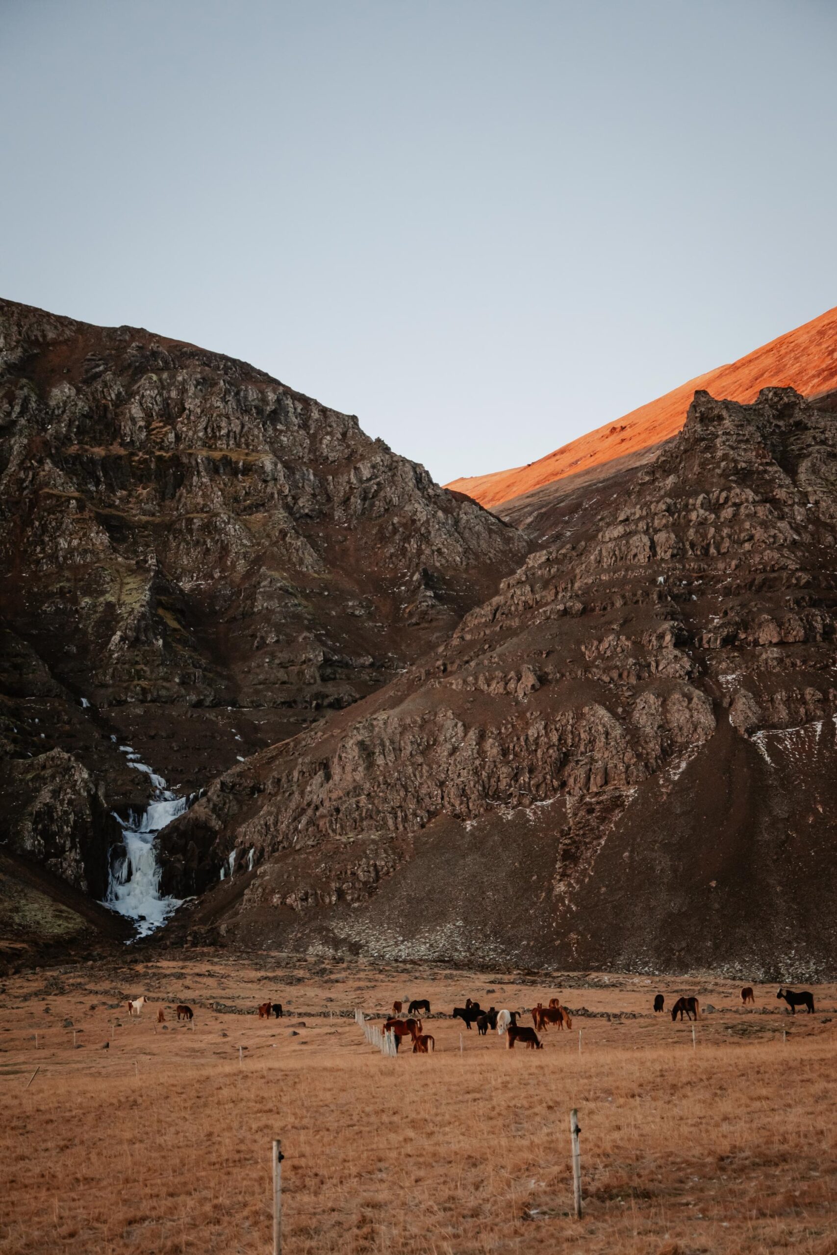chevaux