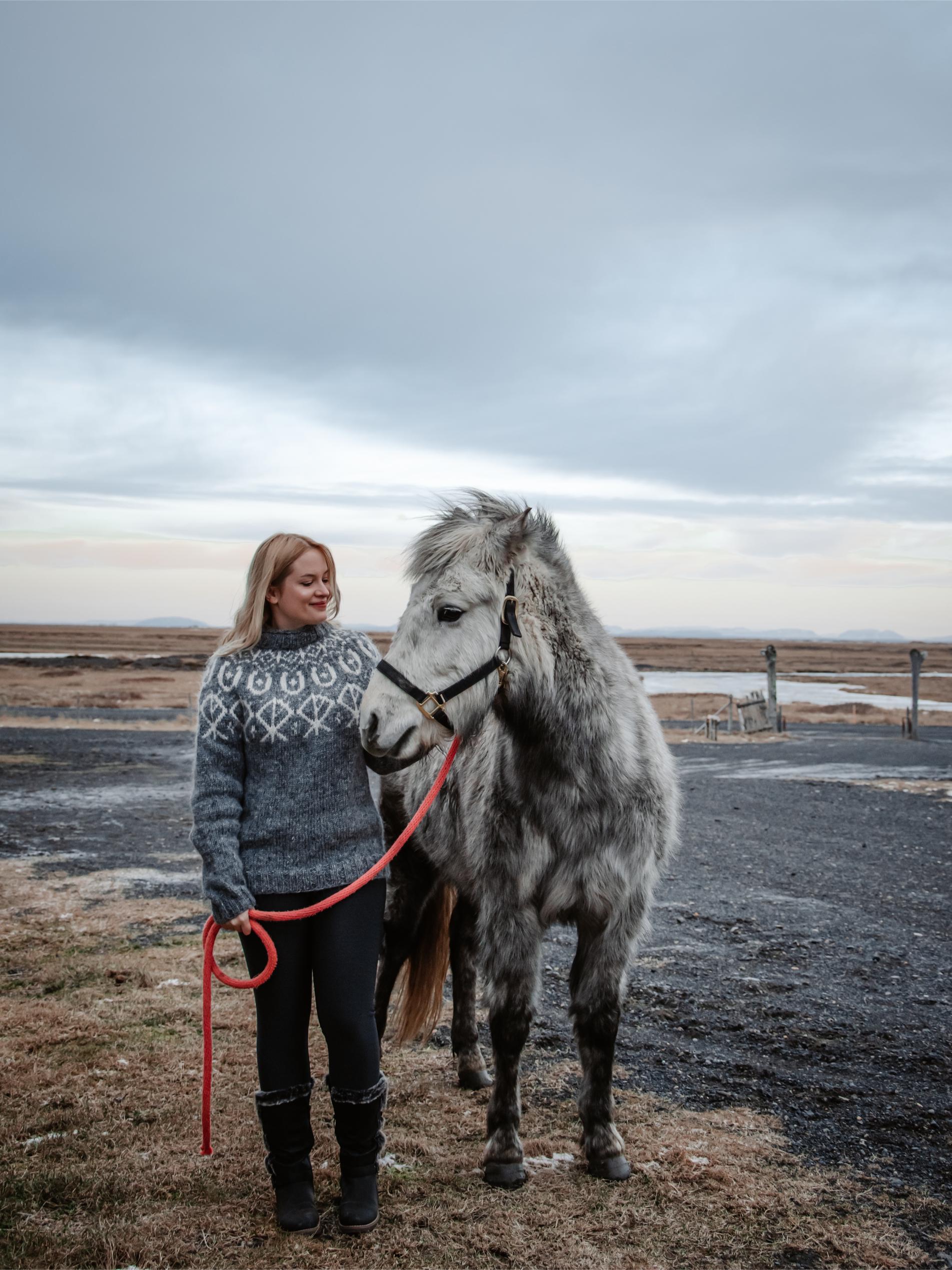 promenade avec un cheval