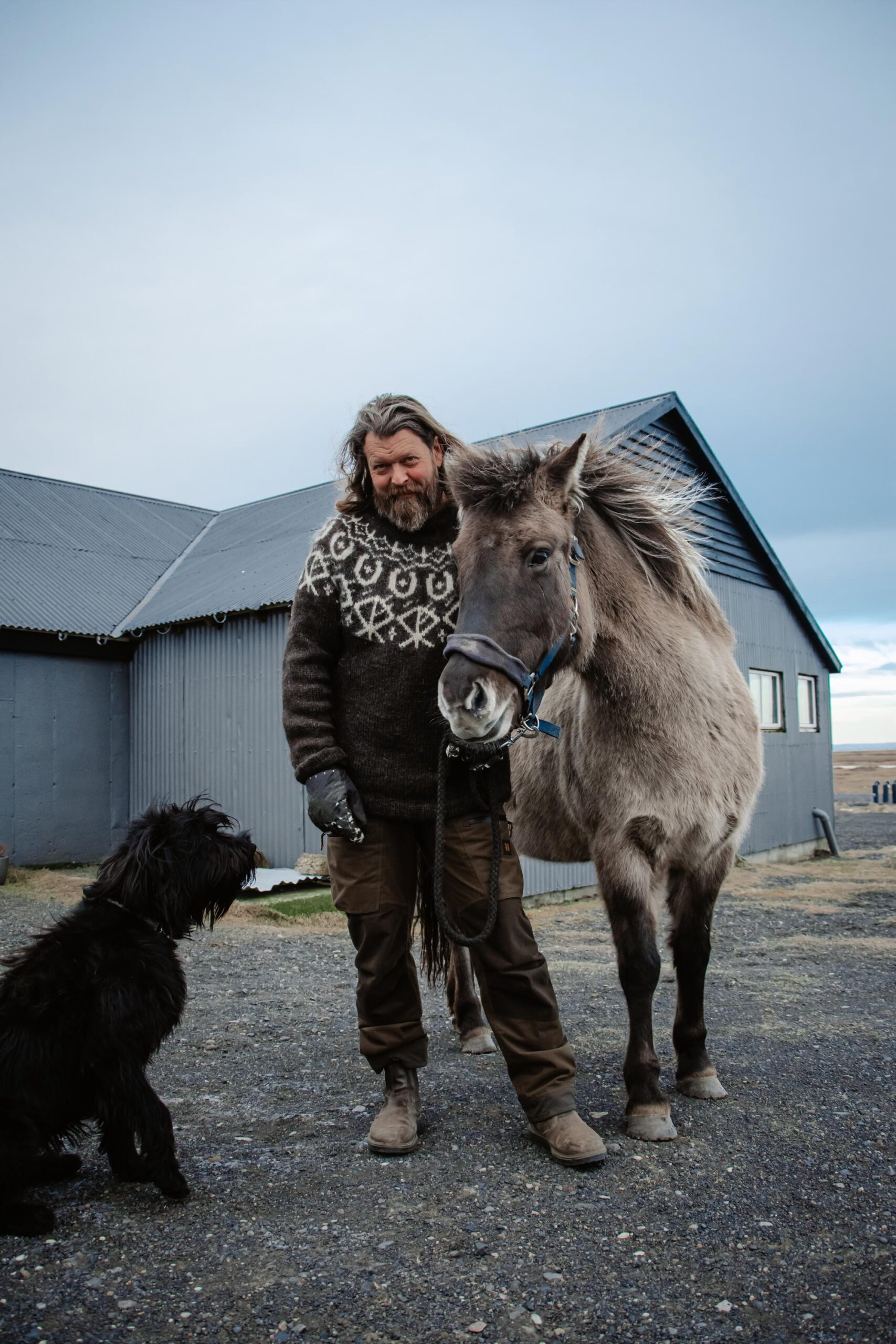 propriétaire de la ferme viking