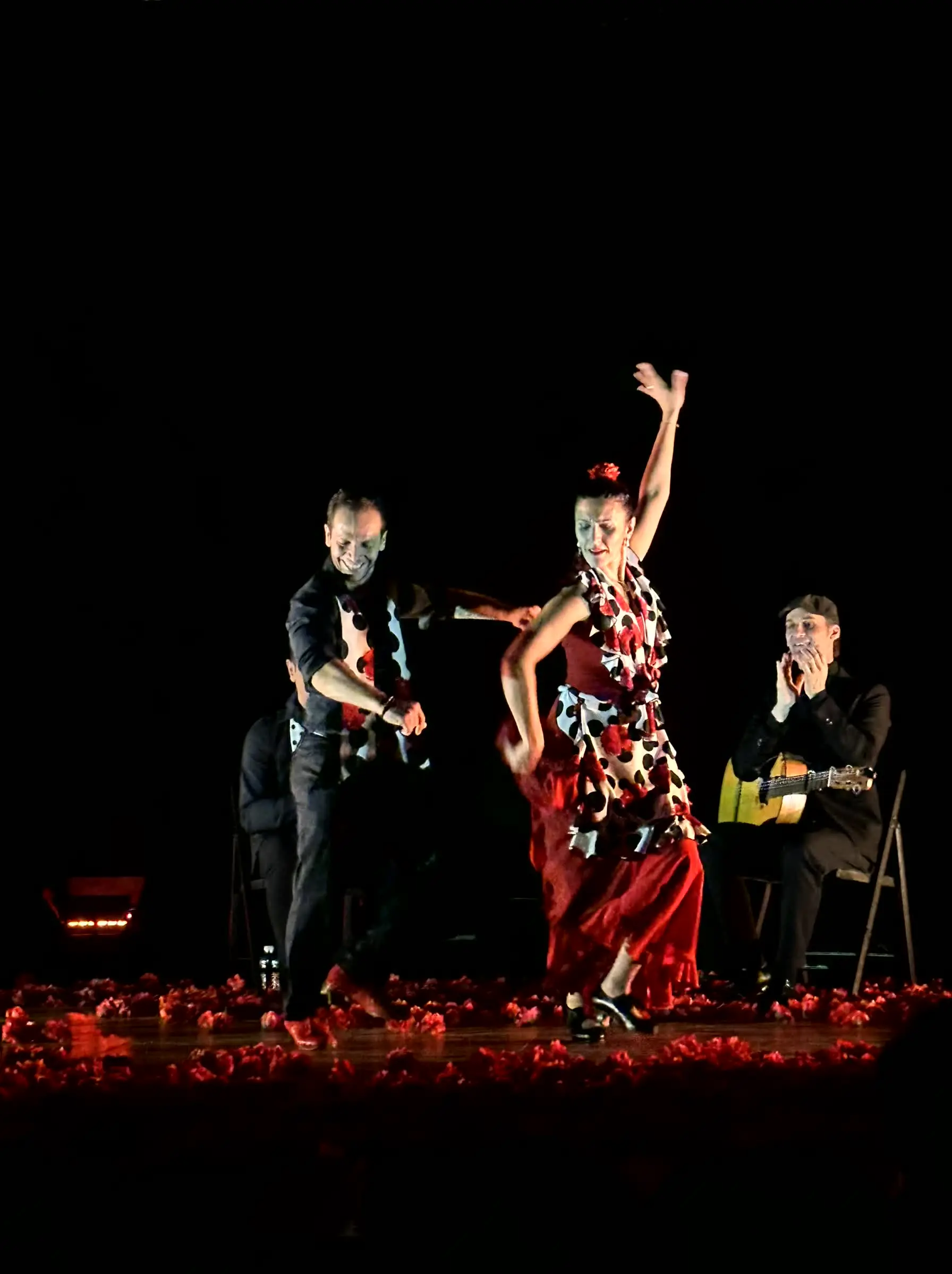 flamenco