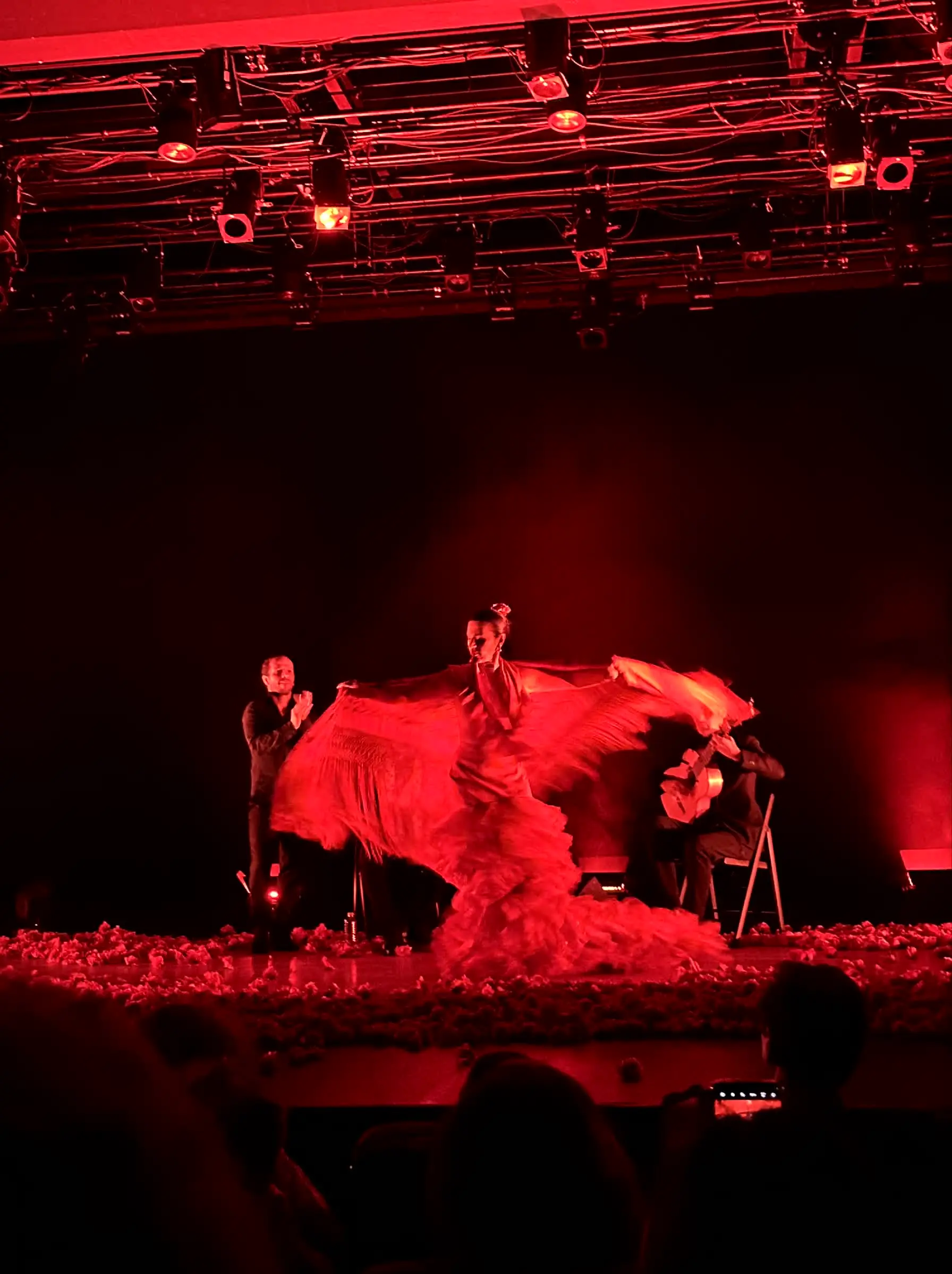 flamenco
