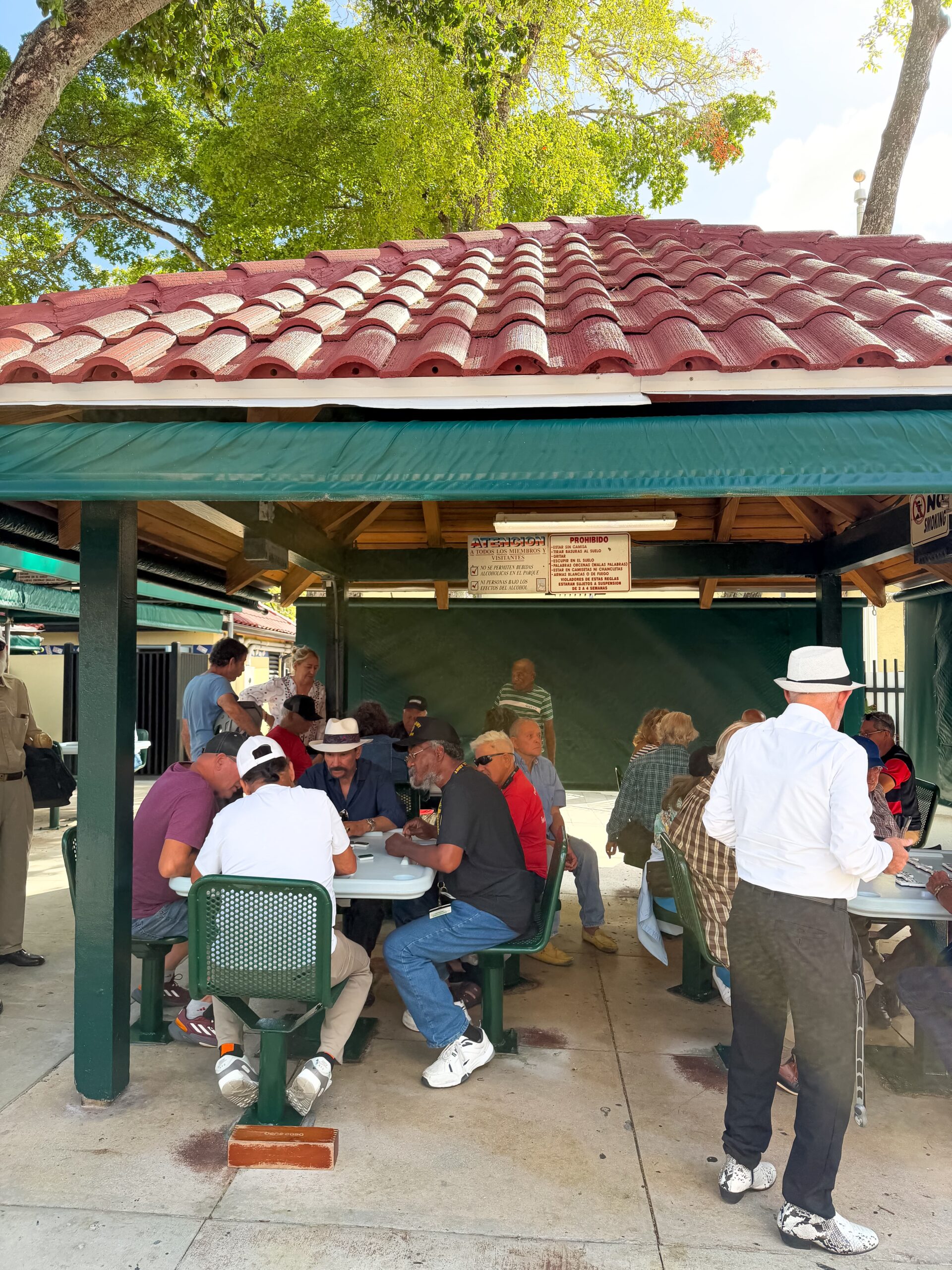 joueurs de domino à little havana